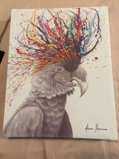 11x14 frameless parrot portrait