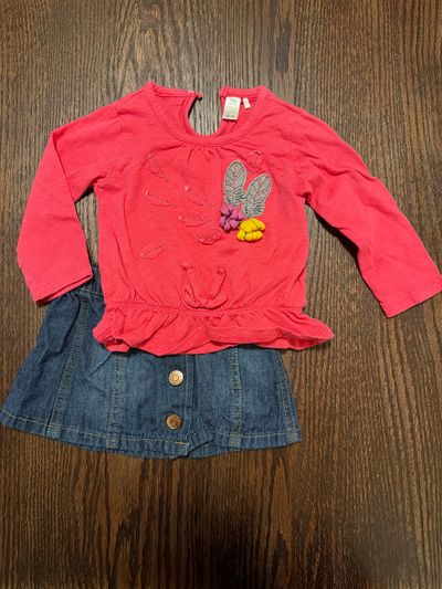 Skirt and long sleeve shirt set  3-6 Months