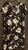 A NEW DAY BLACK W/ FLOWERS Women's XXL 18