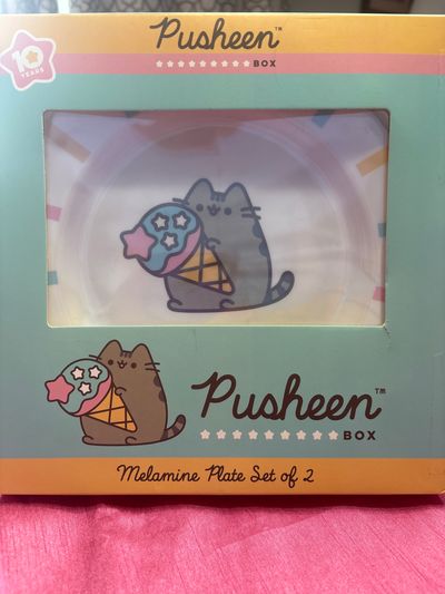 NEW- Pusheen melamine plates Set of 2 in box