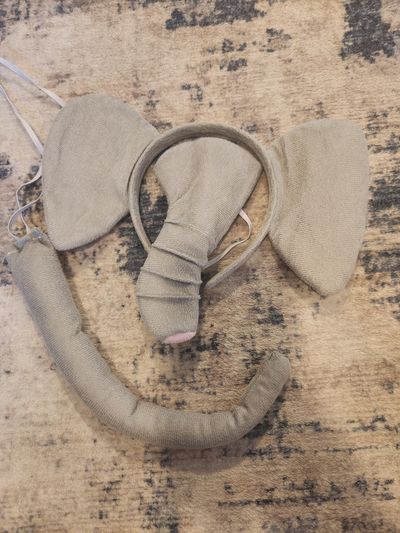 Elephant nose ears and tail Boy or girl