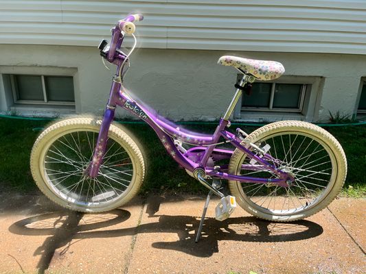 Raleigh Girls bike EUC 20 Kids Bike
