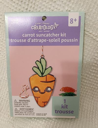 NEW carrot sun catcher kit