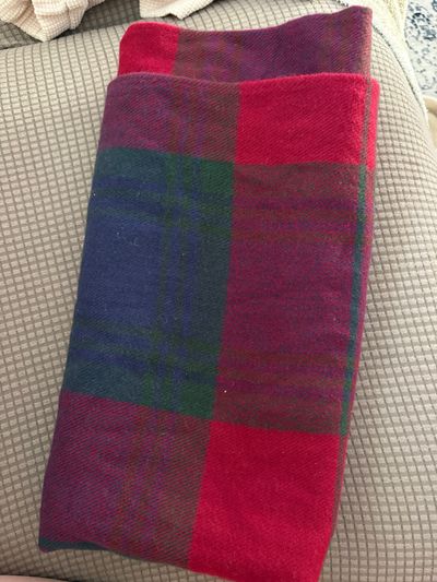 Unknown Infinity plaid scarf very soft and warm and thick!