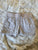 Children's place shorts size 6x/7  6T/6
