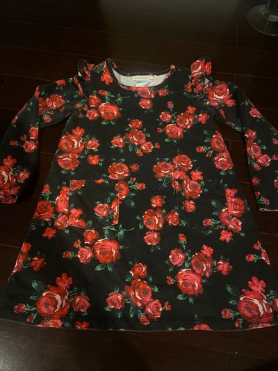 Toughskins Black long sleeve dress with red roses 4T