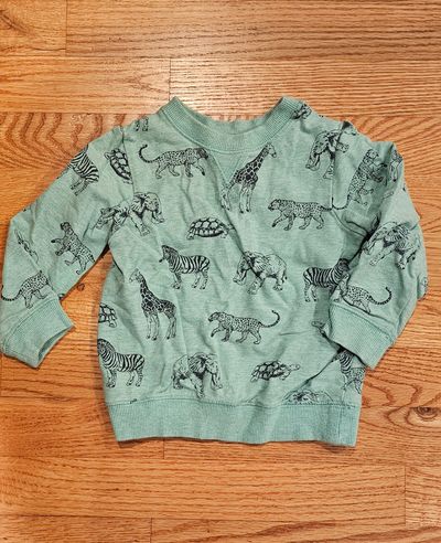 Little Me Boys 24M sweatshirt feature animals graphic in great condition 2T
