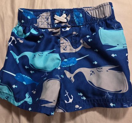 12M Boys Swim trunk / swim bottom  12 Months