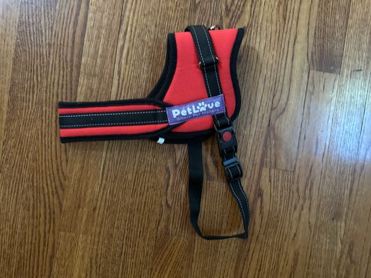 Black/Red Dog Leash Harness