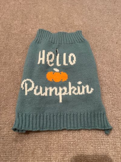 Na Green Fall Sweater Small