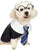 Na NEW Harry Potter dog costume in size S