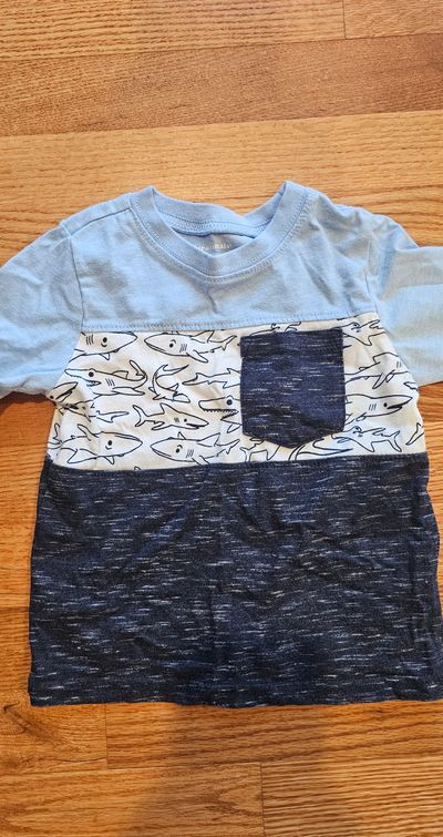 Garanimals Like new shark thems graphic at the middle of the tshirt 2T
