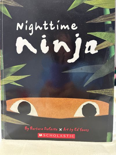 Nighttime Ninja