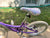 Raleigh Girls bike EUC 20 Kids Bike