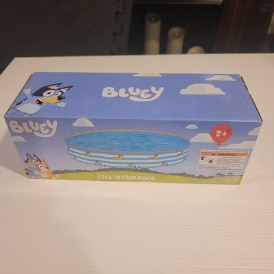 Bluey Pool 60 in. X 60 in. X 10 in.