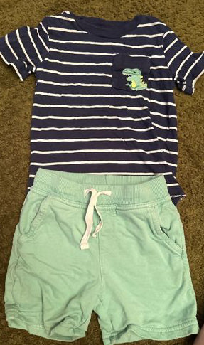 Simple joy by carters Tee and short set 2T