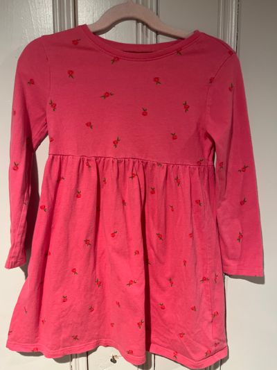 Old Navy Long sleeve pink flower dress 5T
