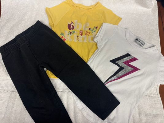 Dori Creations, Jumping Bean and Garanimals. 3T Size 3T Girls Clothing lot. 2 shirts and 1 pair of leggings 3T