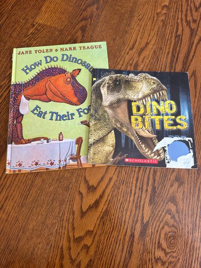 Dinosaur Dino book bundle