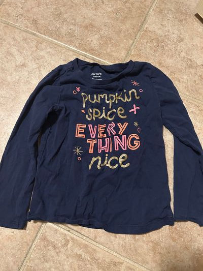 Long sleeve T pumpkin spice and everything nice  3T