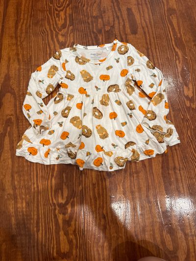 Angel dear Pumpkin fall long sleeve dress 18-24 Months