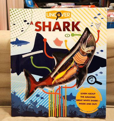 Uncover a Shark" book by David George Gordon. It is a hardcover, 3D interactive book