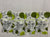 4 New Jelly Facial Serums. Cactus water & Pear 4 New Jelly Facial Serums. Cactus water & Pear