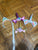 Unicorn headbands