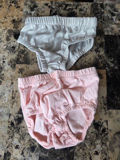 Lot of 2 diaper covers  6 Months