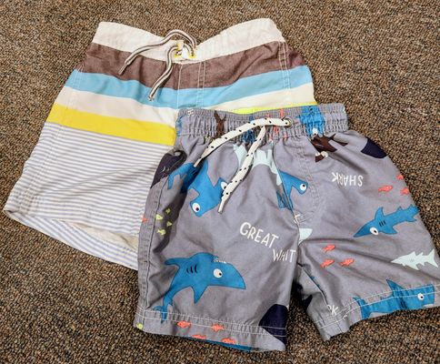 Carters Bundle of 2 swim trunks 2T