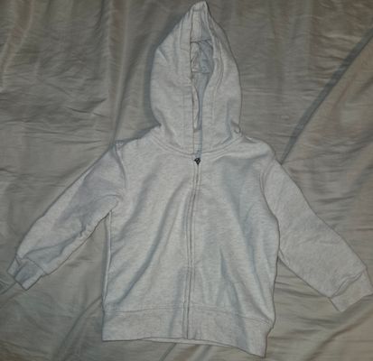 Garanimals Boys 2T Sweatshirt hoodie Light cream colored 2T