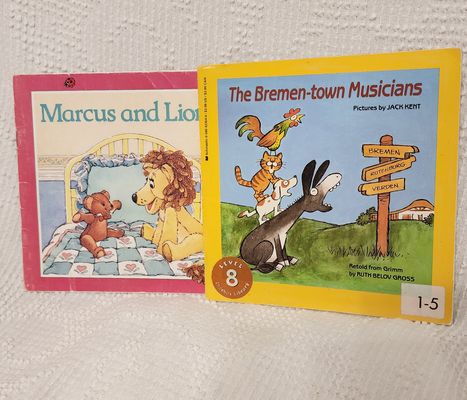 2 elementary books easy reading