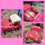 Our generation Convertible cruiser for 18 inch doll front windshield missing