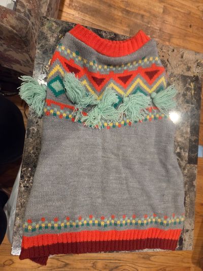 Dog sweater size M