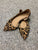 Asos Leopard flats 9 (Adult)