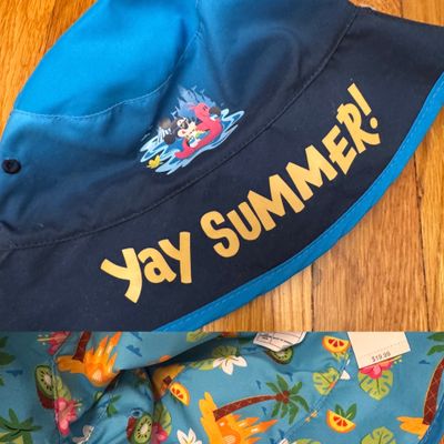 Disney new- toddler beach hat