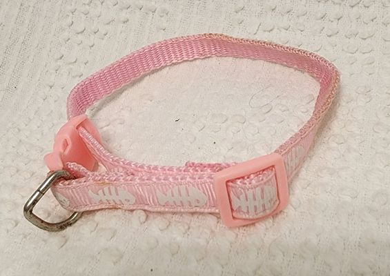 CAT COLLAR FISH DESIGN
