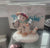 New penguin friends  Dreamsicle Ceramic with box