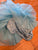 Posh peanut Blue tulle floral dress worn once for family photos 2T