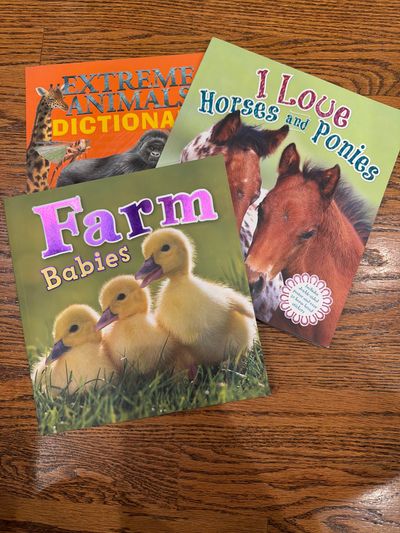 Animal information books Horse book includes poster and stickers