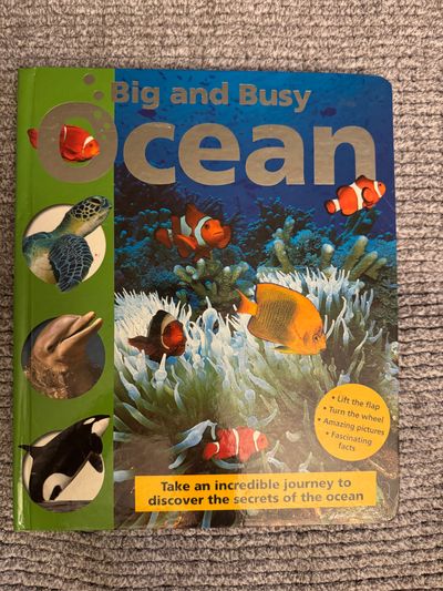 Priddy Books Big and Busy Ocean