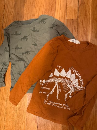 H&M H&m 2 long sleeve dinosaur tee 5T/5