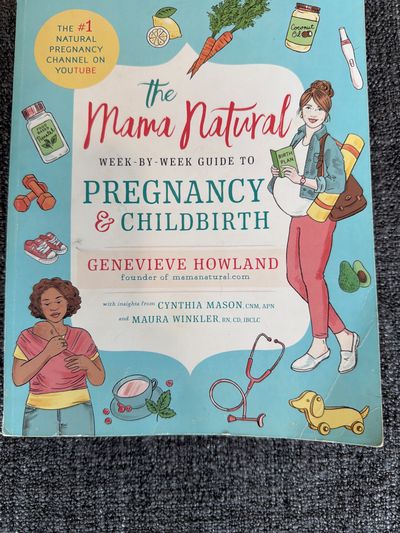 The mama natural pregnancy and childbirth book