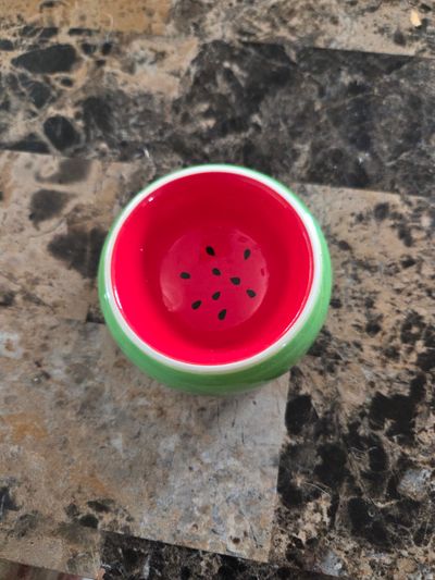 Ceramic Hamster/Mice food bowl