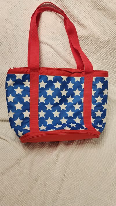 INSULATED BEACH BAG Like NEW