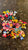 Jibbitz A ton of jibbitz for Crocs