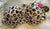 Candies Brand new with tags strapless and straps 36C Women's - L