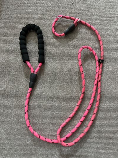 TadME NEW 6 ft Slip Lead Leash