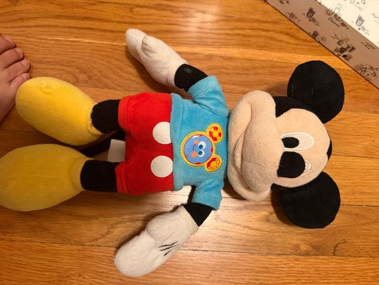 Disney Clubhouse Mickey voice box does not work