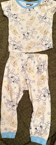 Bluey Short sleeve and pant set 2T